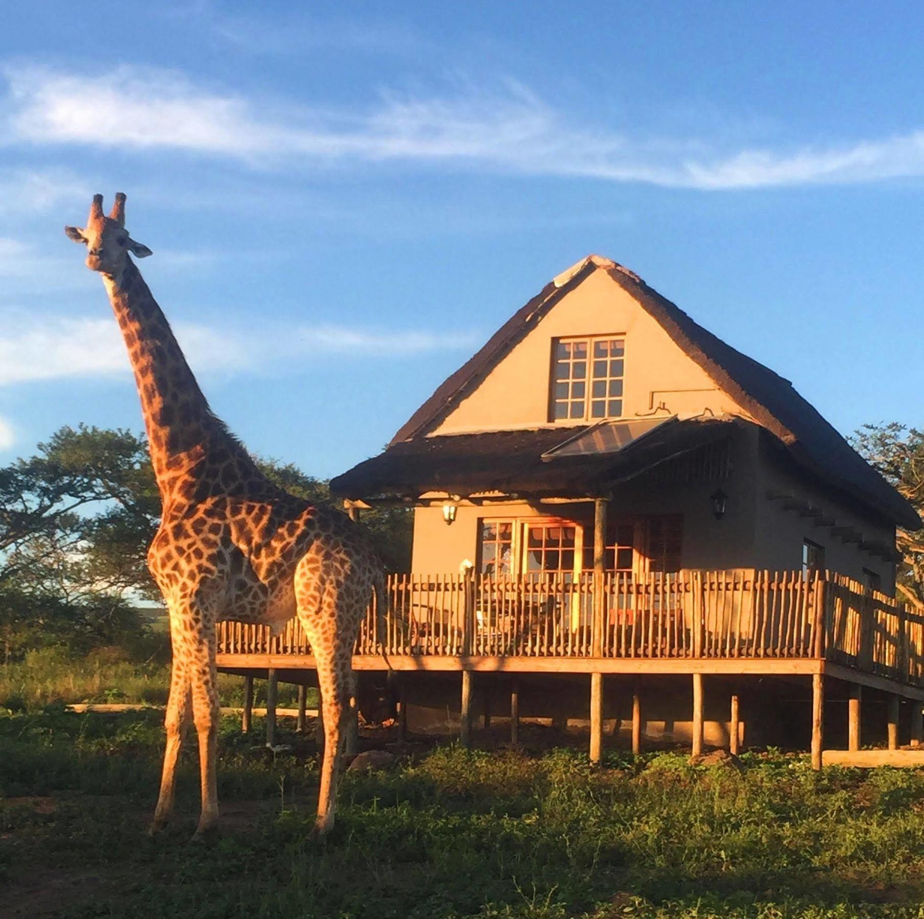 Ukuthula Lodge 霍维克 外观 照片
