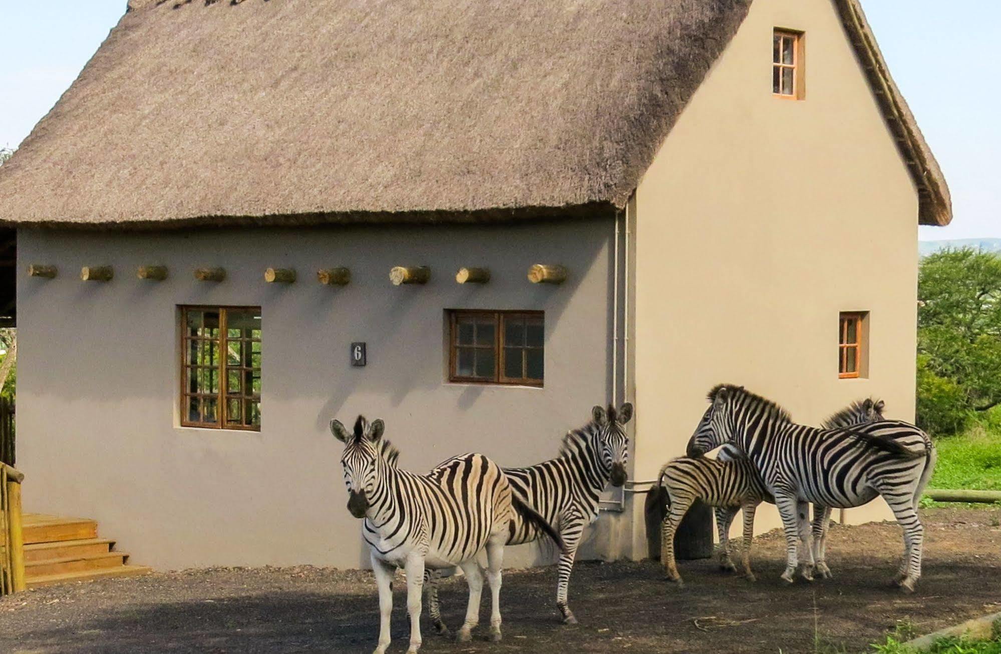Ukuthula Lodge 霍维克 外观 照片