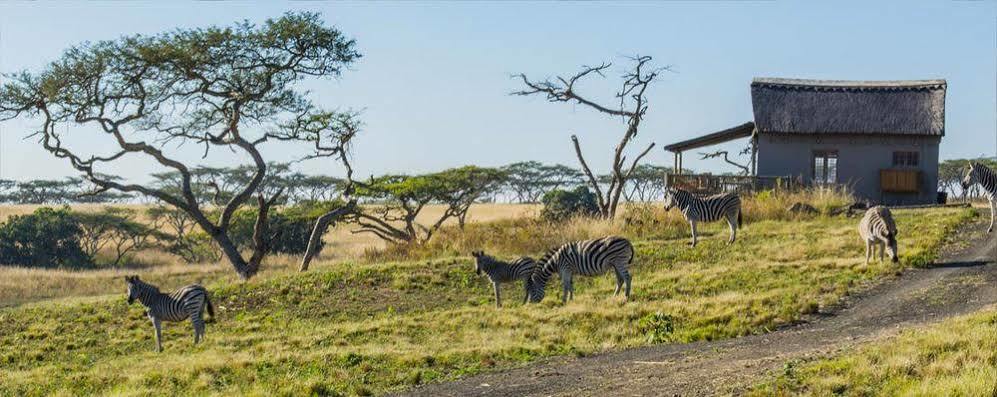 Ukuthula Lodge 霍维克 外观 照片